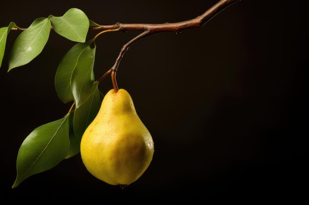 Juicy Green Pear on a Fruit Tree