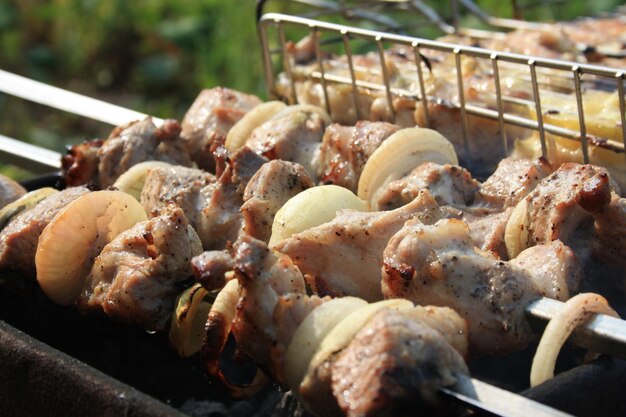 Juicy meat with onions on a skewer is fried on a fire