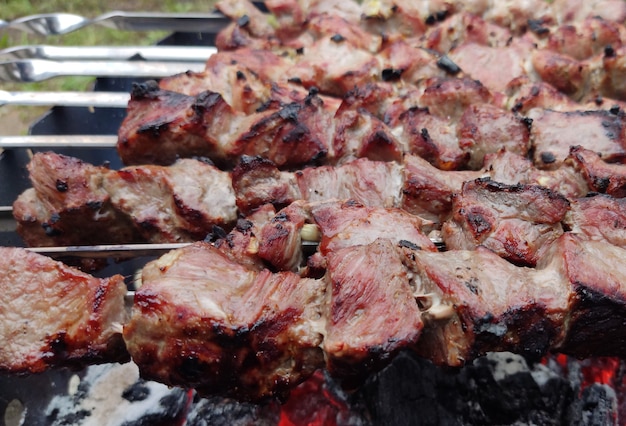 자연 검역소에서 육즙이 생고 기성품 튀긴 케밥 고기 송아지 고기 돼지 고기