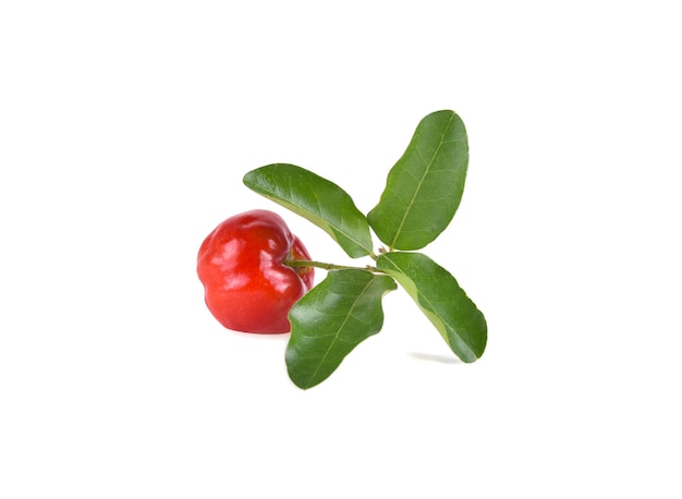 Juicy red Acerola cherry with green leaf isolated on white.