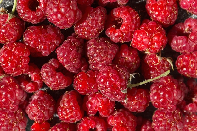 Juicy red raspberries closeup Raspberries are rich in vitamins and are used in medicine