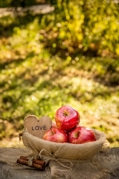 Juicy ripe apples in a basket on a natural natural background. Red organic apples. Harvesting.