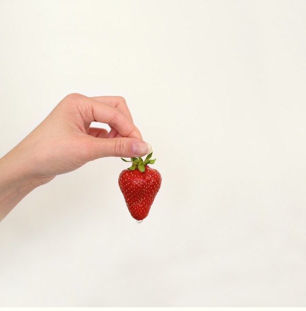 Juicy ripe strawberry in a woman's hand. drop of water or juice is dripping from strawberries.