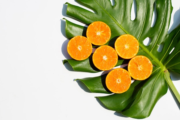 Juicy and sweet. Fresh orange fruit with monstera plant leaf on white