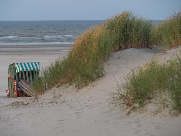 juist beach in the evening