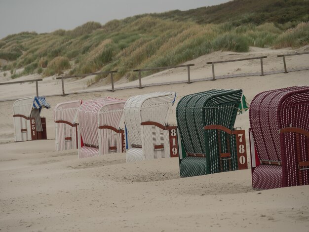 Photo juist island in the north sea