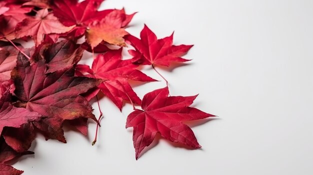 July 1st Canada Day illustration with maple leaves on white wooden background Generative ai