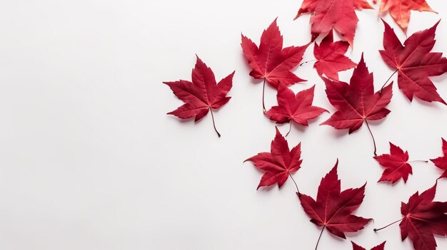 July 1st Canada Day illustration with maple leaves on white wooden background Generative ai