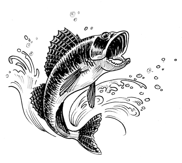 Jumping fish Handdrawn ink black and white drawing