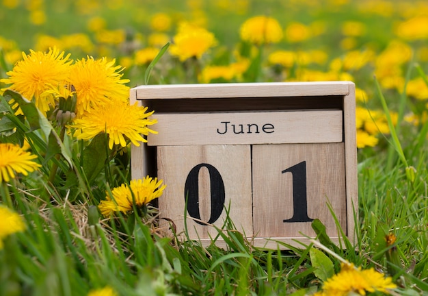 写真 6月1日、カレンダーオーガナイザー、黄色いタンポポの緑の芝生で夏の初日