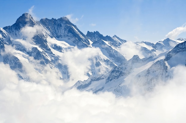 慢慢的阿尔卑斯山山风景照片