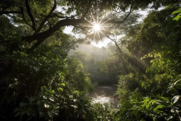 Jungle canopy with the sun shining through and the river winding through