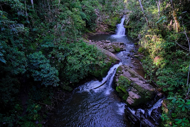 Jungle en rivier