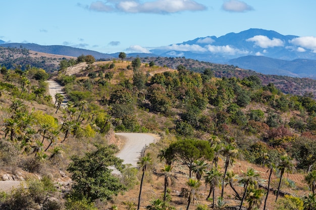 Jungle and mountains in the rainy season in Mexico