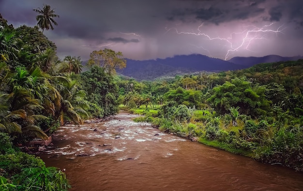 Река джунглей в Индонезии