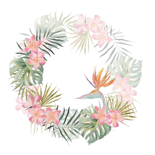 Jungle wreath Strelitzia plumeria monstera palm leaves Watercolor hand drawn Frame