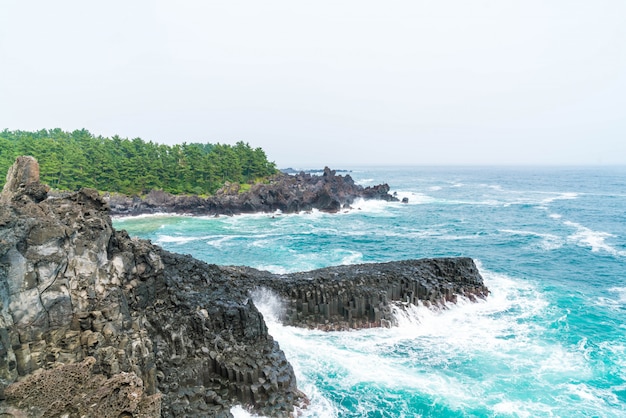 Jungmun daepo coast jusangjeolli cliff, eiland jeju