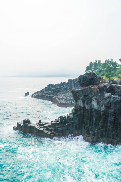 Photo jungmun daepo coast jusangjeolli cliff, jeju island