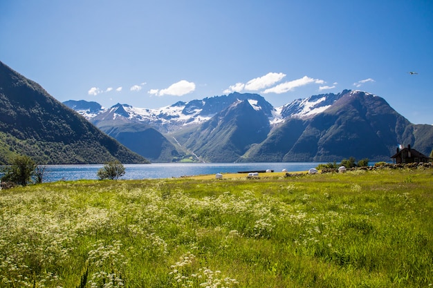 Juni, 2019 - Standaldalen-vallei in de Sunnmore-Alpen, More og Romsdal, Noorwegen.