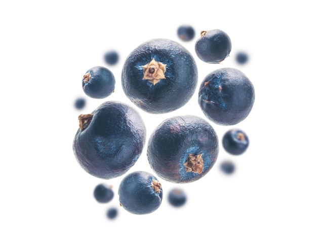 Photo juniper berries levitate on a white background