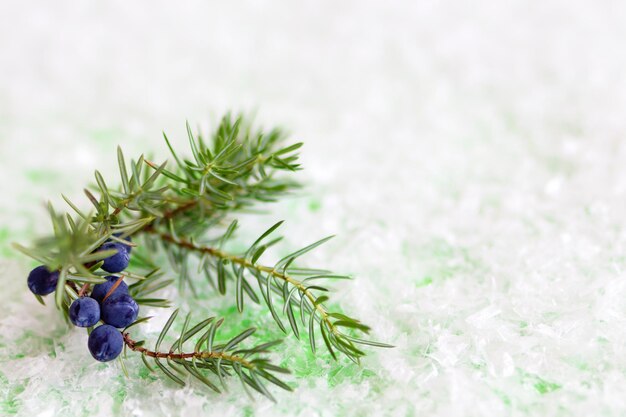 Foto ramo di ginepro con bacche su uno sfondo verde con neve artificiale