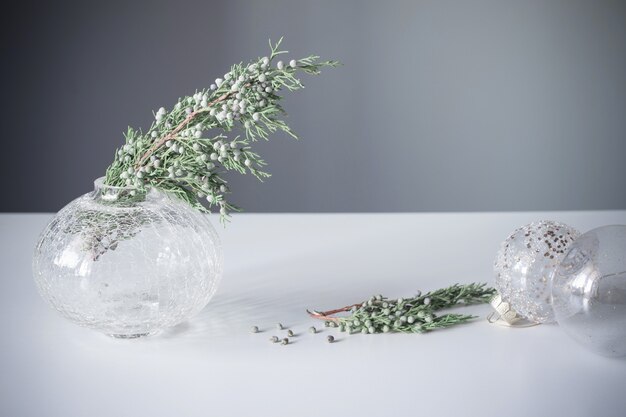 Juniper branches in glass vase and christmas balls on gray background