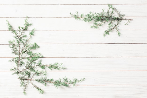 Juniper branches on a white wooden.