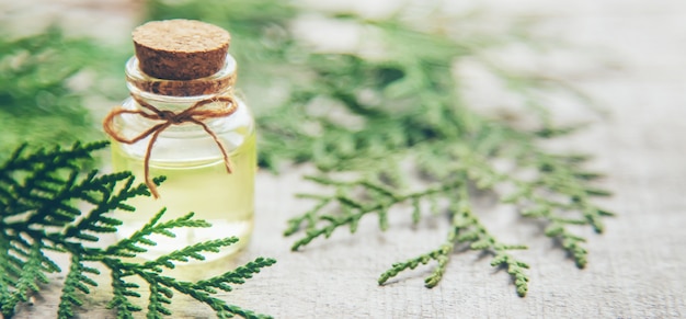 Juniper essential oil in a small bottle