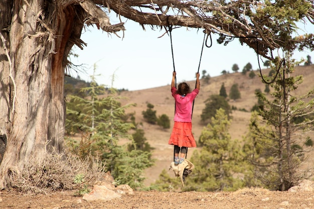 Juniper tree swing and playing child