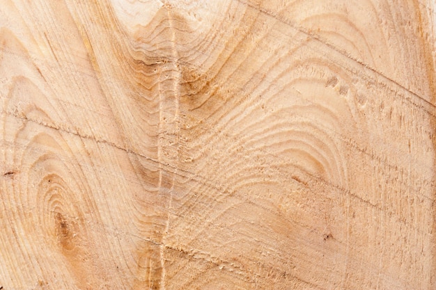 Fondo di struttura di legno di ginepro con il vecchio modello naturale. fondo di legno rustico di superficie di lerciume per il manifesto del sito web del modello o la progettazione di massima.