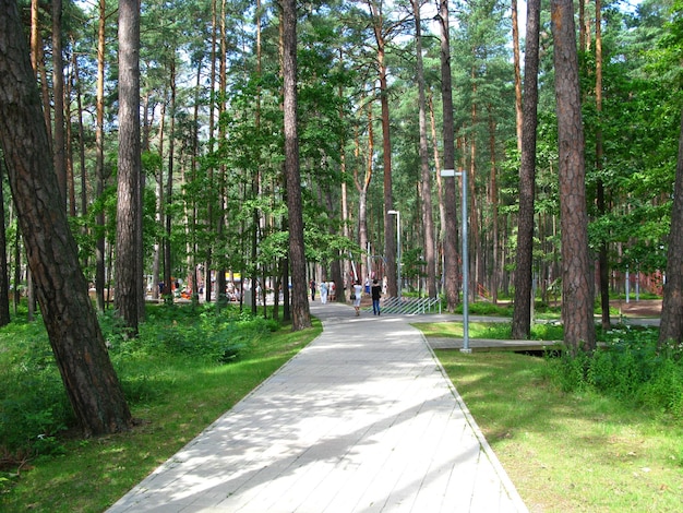 Jurmala Dzintari zijn dorpen aan de Baltische kust Letland