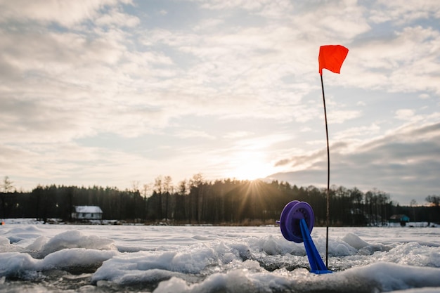 Just caught pike by tip up tackle In the ice hole set tackle with a flag Winter fishing on the frozen lake Small tackle for winter fishing on the ice pond Reeling reel for a fish