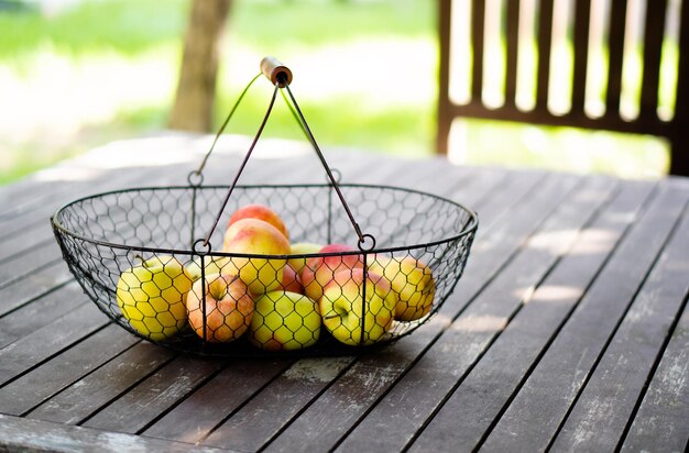 Just harvested autumn apples in the metal basket on wooden table in the garden