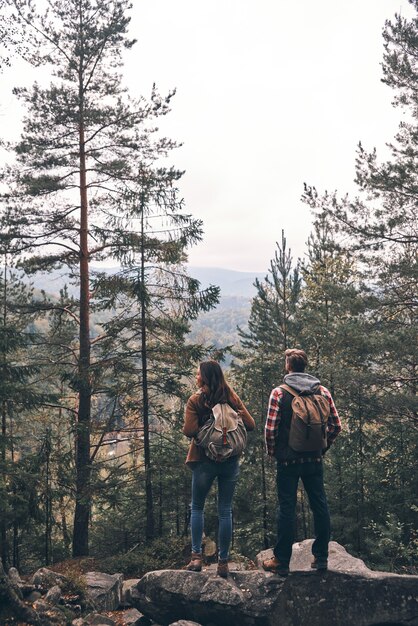 Just look at it! Full length rear view of young couple admiring the view while hiking together in the woods