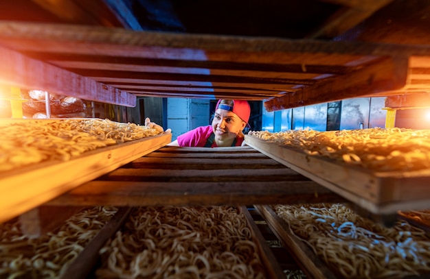 Just produced noodles on a noodle factory. Selective focus.