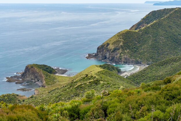 Kaap Reinga in Nieuw-Zeeland