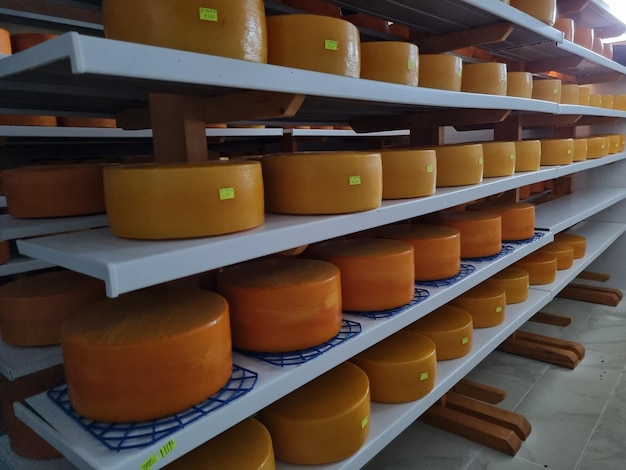 Kaas van koemelk, bewaard in houten planken en gerijpt