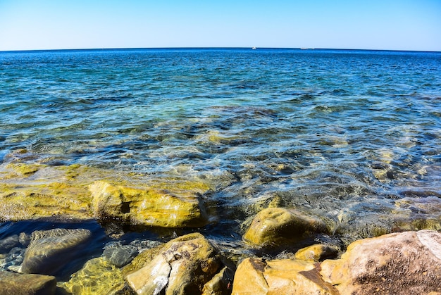 Kabardinka Krasnodar Territory Russia  August 2019 The Black Sea coast Russia