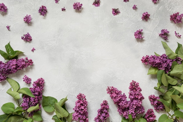 Kader van purpere lilac bloemen met ruimte voor tekst in hoogste mening.