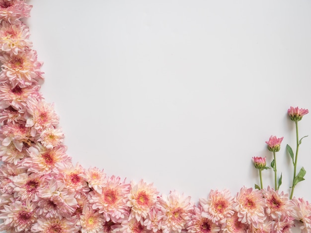 Kader van roze en witte bloemen op witte achtergrond wordt gemaakt die