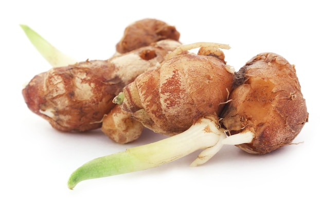 Kaempferia galanga known as aromatic ginger over white background