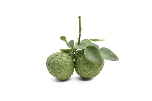 Photo kaffir lime isolated on white backgroundpopular fruit in thailand herb close upnature lightclipping path