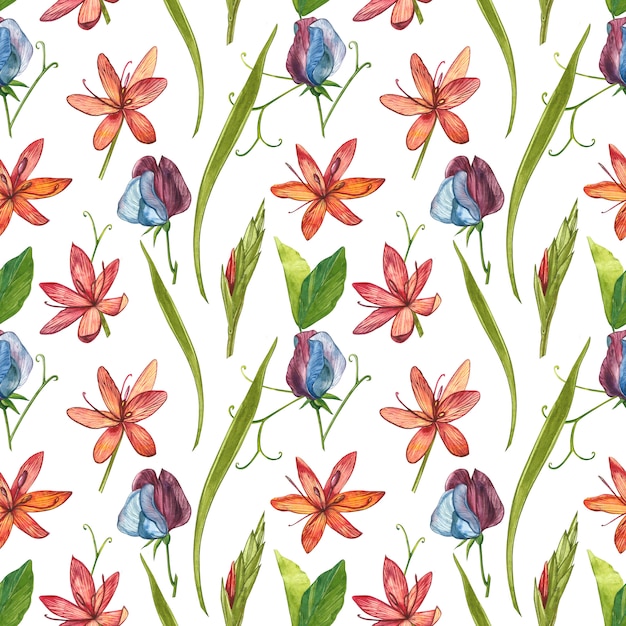 Kafir Lilies flowers watercolor illustration. Seamless patterns.