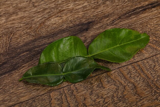 Photo kafir lime leaves addition for asian cuisine