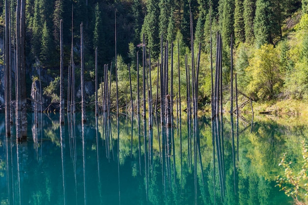 Kaindy lake - mountain lake in Kazakhstan