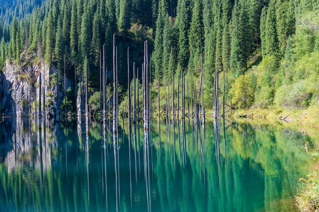 Foto lago kaindy - lago della montagna nel kazakistan