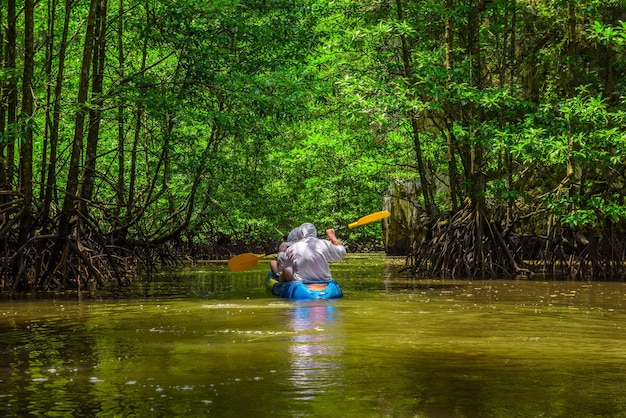 Kajakken in de mangrovejungle