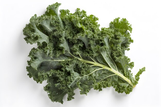 Photo kale fruit vegetable flat lay on background