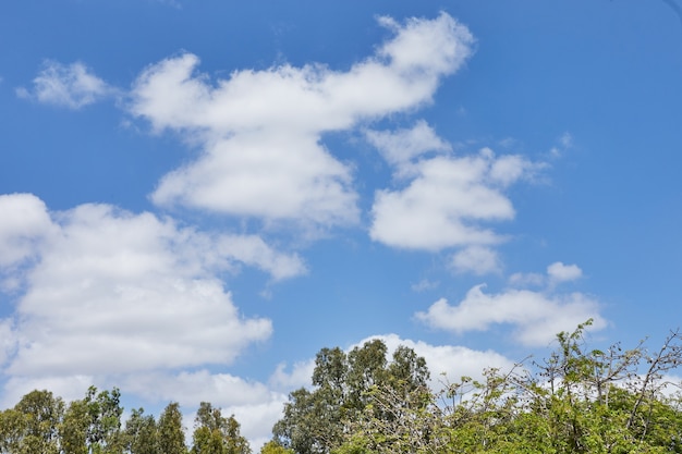 Kale hemeltextuur met wolken en groen onder achtergrond.