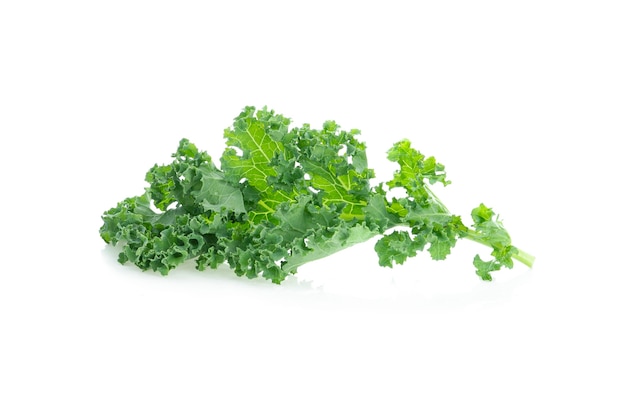 Kale leaf salad vegetable isolated on white background